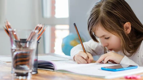 Numărul căutărilor online de rechizite creşte pentru al treilea an consecutiv. Românii din diaspora au generat 15% din căutări