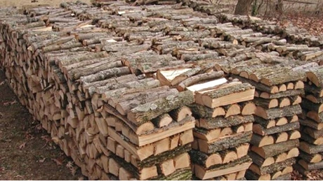 Romsilva a vândut populaţiei 1,37 milioane de metri cubi de lemn de foc în 10 luni.  Preţul mediu - 180 de lei/mc