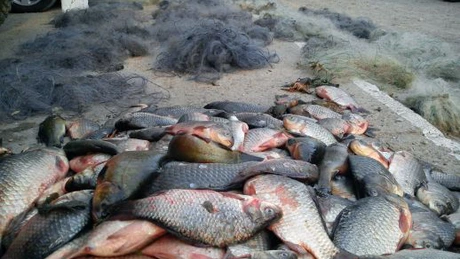Ministrul Agriculturii: Banii europeni alocaţi pentru construcţia unei burse de peşte la Tulcea trebuie returnaţi