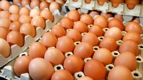 UCPR: Producătorii de ouă investigaţi de Consiliul Concurenţei au acoperit 7% din piaţă anul trecut