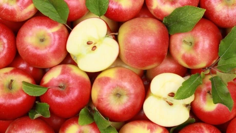 Importăm 20% din merele consumate deşi suntem al doilea producător din Europa. Agricultorii nu mai au cu cine să muncească livezile