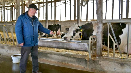 Premieră în România: Sorina, prima vacă de lapte care a atins o producţie de 100.000 de litri - AGROINTEL