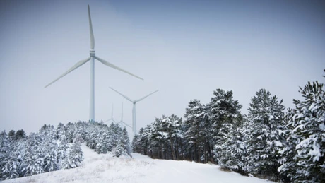 La prima manifestare serioasă a iernii, România exportă energie electrică. Vântul este principala sursă
