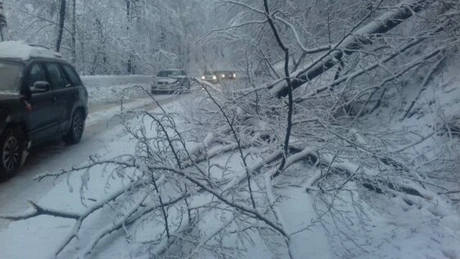 CNAIR atenționează șoferii că ninge abundent în județele Dolj, Gorj și Mehedinți VIDEO