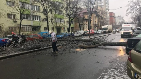 Cum arată bilanţul intervenţiilor MAI de sâmbătă