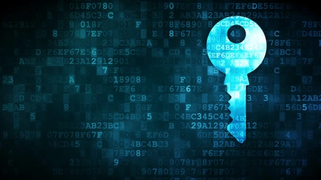 O companie românească a patentat în SUA o soluţie de criptare care creşte nivelul de protecție a datelor sensibile în cloud