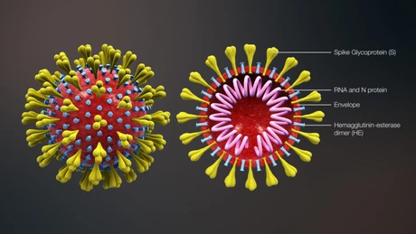 Două noi cazuri de îmbolnăviri de gripă tip coronavirus au fost înregistrate în România