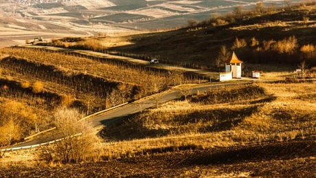 Villa Vinea, afaceri de 3 milioane de lei în 2019. Rolul turismul viticol în cifra de afaceri, tot mai important