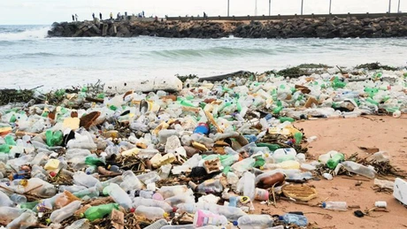 Ministrul Mediului: Regiunea Mării Negre este afectată în special de poluarea cauzată de plastic şi microplastic