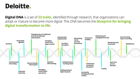 Deloitte România lansează Digital DNA, o soluţie de evaluare a gradului de maturitate digitală a companiilor