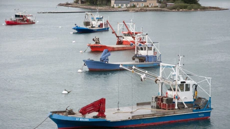 Guvernul francez le va acorda ajutoare de stat de până la 30.000 de euro pescarilor afectați de acordul dintre UE și Marea Britanie