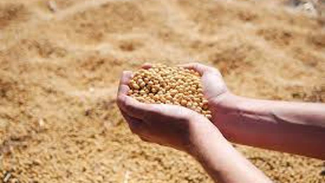 Franța va crește investițiile pentru producția locală de soia, pentru a-și reduce dependența de importurile din Brazilia și SUA