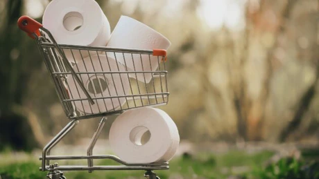 Vrancart primește ajutor de stat de 40 de milioane de lei, parte dintr-o investiție de 17 milioane de euro