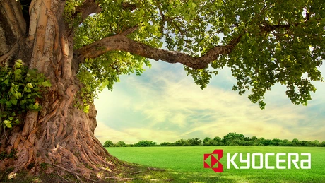 Anul acesta se poartă ECO. Produsele ecologice câştigă tot mai mulţi adepţi