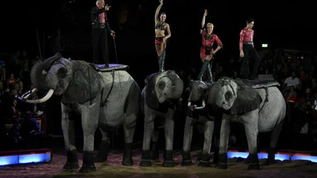 Festivalul Internațional de Circ de la Monte Carlo se amână din nou din cauza pandemiei