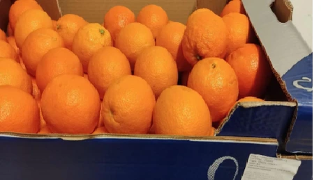 Carrefour retrage de la vânzare peste 12 tone de portocale importate din Egipt, dar cu etichetă de Grecia