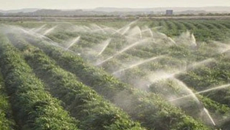 Ministerul Agriculturii va deconta, până al final de septembrie,  50% din cheltuielile cu energia pentru irigații. Care este procedura