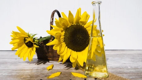 Deficit de ulei de floarea soarelui pe piața Uniunii Europene ca urmare a războiului din Ucraina