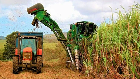 Cuba se chinuie să îşi salveze industria zahărului, odată motorul economiei insulei