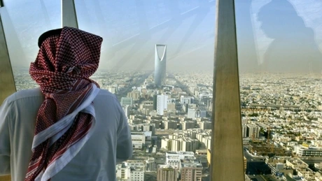 Criză energetică în Germania: Cancelarul întreprinde vizite oficiale în Arabia Saudită, Emiratele Arabe Unite și Qatar