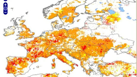 Alertă de secetă în unele zone din România. Comisia Europeană estimează că randamentele vor fi și mai mici decât anunțase la final de iunie