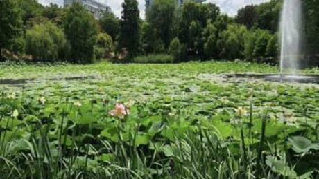Primăria Capitalei va construi un puț de mare adâncime care să alimenteze lacul din Parcul Circului