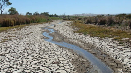 Peste 400.000 de hectare afectate de secetă - cele mai recente date de la MADR