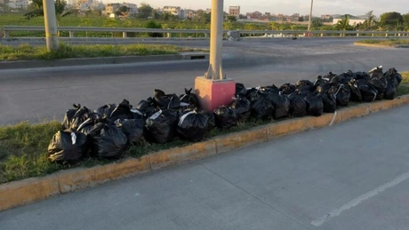 Cinci tone de mizerie şi praf strânse de la bordurile de pe un singur bulevard din București