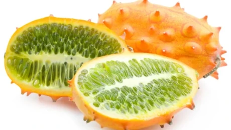 Kiwano, un tip de castravete țepos din zona subtropicala a Africii, a început să fie produs și comercializat în România. Fructul poate rezista și un an și este bogat în vitamine