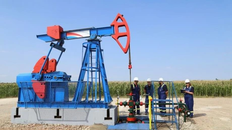 Percheziţii la sediul companiei NIS Petrol, controlată de Gazprom - Anchetatorii ar cerceta transmiterea ilegală de date - surse. Compania descoperise petrol în vestul României