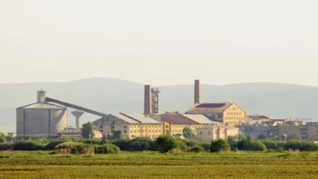 Fabrica de zahăr Bod reia producţia de zahăr din culturile de sfeclă de zahăr din România