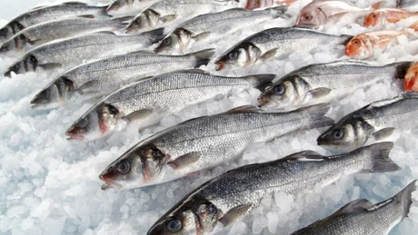 Ministerul Agriculturii vrea să ceară Comisiei Europene sprijin pentru pescuit și acvacultură. Sectoarele sunt afectate de războiul de la graniță