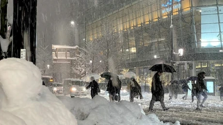 Cel puțin 17 persoane au murit și 90 au fost rănite în urma unei puternice furtuni de zăpadă care a lovit Japonia