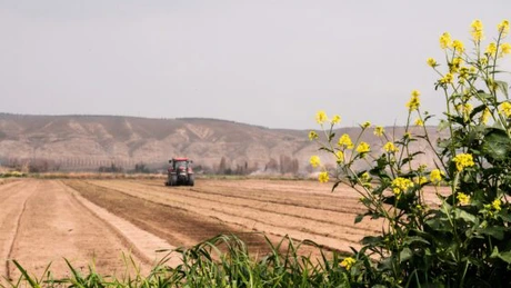 Holde Agri Invest marchează o nouă investiție de 2 mil. euro în teren. Compania vrea să ajungă la 15.000 de ha până la finalul anului