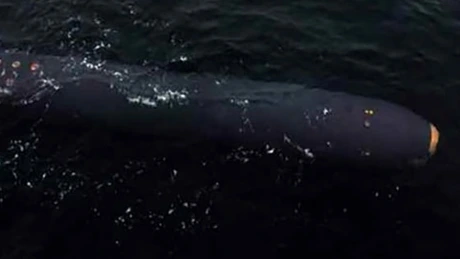 Coreea de Nord a testat o nouă dronă subacvatică de atac cu capacitate nucleară