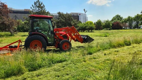 ALPAB, Administraţia Străzilor şi ASPA preiau bunuri de peste 18 milioane de lei de la Compania Municipală Întreţinerea Arborilor şi Spaţiului Verde, care se află în lichidare