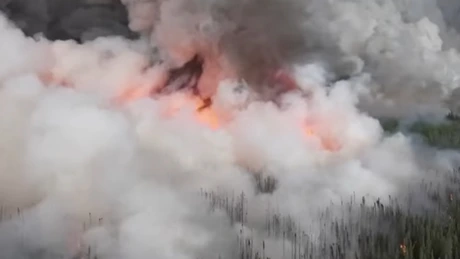 Incendii de vegetaţie în ţările mediteraneene: Pompierii depun mari eforturi în Grecia