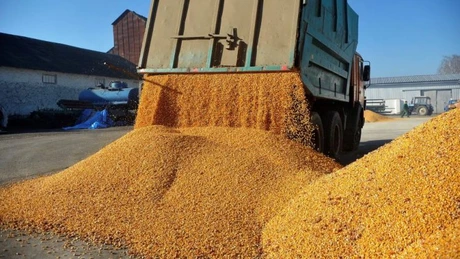 Valoarea cerealelor produse în România a depășit pentru prima dată pragul de 5 miliarde de euro. Suntem pe locul patru în UE