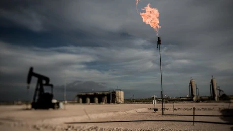 Proprietarul Endeavour Energy, cel mai mare producător independent din bazinul petrolier Permian din sudul SUA, vrea să-și vândă afacerea pentru 30 de miliarde de dolari - surse Reuters