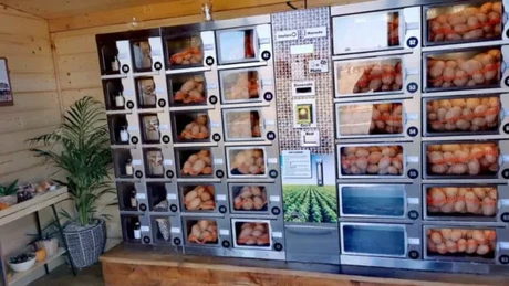 Primul automat de cartofi din România