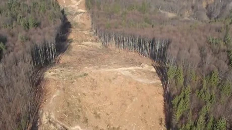 Autostrada Sibiu - Pitești: Defrișările din fondul forestier, realizate în proporție de 62% pe secțiunea 3, cea mai mare lucrare de autostradă din România