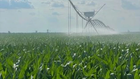 Compania daneză FirstFarms A/S a investit 6,7 milioane de euro într-un sistem de irigații ce acoperă 1.300 ha. Vor cultiva inclusiv legume