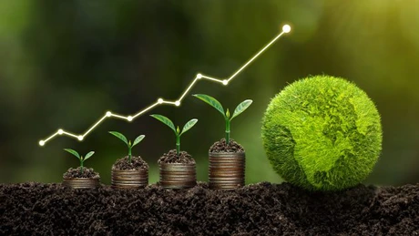 Peste 75% dintre antreprenori consideră că schimbările climatice au un impact negativ asupra afacerii. Doar 7% au apelat la credite 