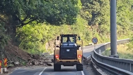 Valea Oltului, închisă. Ziua 2:  Au fost tăiați 1.300 din 20.000 de arbori VIDEO UPDATE