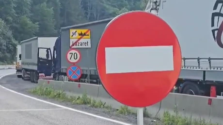 Valea Oltului, închisă. Ziua 5: A fost defrișată 20% din suprafața de 10 hectare de pădure VIDEO