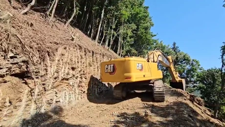 Valea Oltului, închisă. Ziua 6: A fost defrișată 23% din suprafața vizată UPDATE