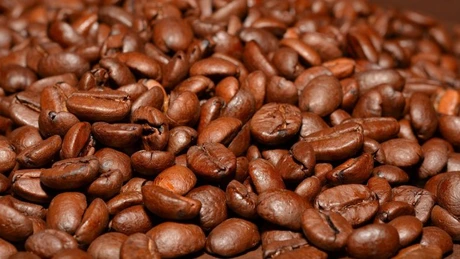 Cafeteca valorează peste 500.000 de euro