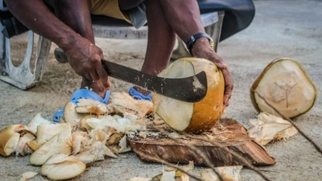 Țările UE au importat cocos de 146 milioane de euro. De unde provine cel mai mult cocos