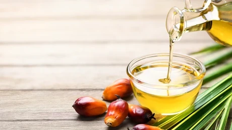 India vrea să majoreze taxele la importurile de uleiuri vegetale