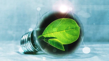 Lideri internaţionali lansează apeluri pentru investiţii în energie verde. Statele în curs de dezvoltare solicită ajutor